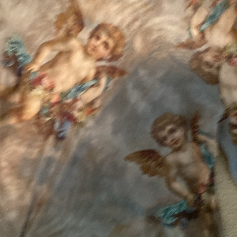 Urban Outfitter sheer angel top - Picture 4 of 5